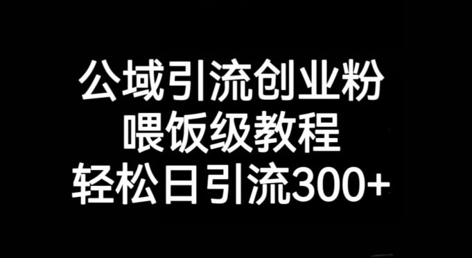 公域引流创业粉，喂饭级教程，轻松日引流300+【揭秘】-流量卡商城 - 5G物联网无限速大流量卡_移动联通电信流量卡办理