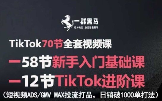 TikTok全套视频课，新手入门+进阶课，短视频ADS-GMV MAX投流打品，日销破1000单打法-流量卡商城 - 5G物联网无限速大流量卡_移动联通电信流量卡办理