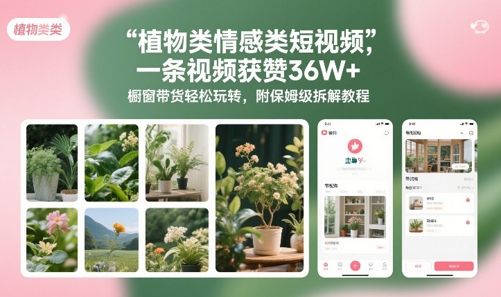 植物类情感类短视频，一条视频获赞36W+，橱窗带货轻松玩转，附保姆级拆解教程-流量卡商城 - 5G物联网无限速大流量卡_移动联通电信流量卡办理